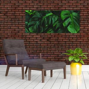 Tablou cu frunze Monstery (120x50 cm)