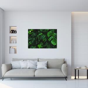 Tablou cu frunze Monstery (90x60 cm)