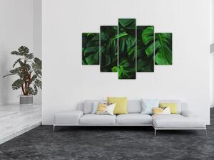 Tablou cu frunze Monstery (150x105 cm)