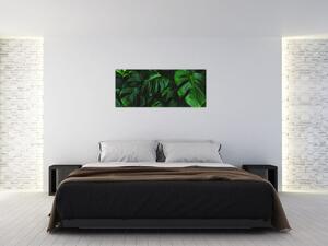 Tablou cu frunze Monstery (120x50 cm)