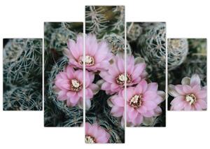 Tablou floare de cactus (150x105 cm)