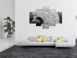 Tablou cu păpădie - albnegru (150x105 cm)