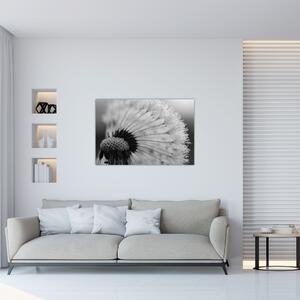 Tablou cu păpădie - albnegru (90x60 cm)
