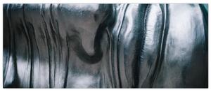 Tablou - Fața din oțel (120x50 cm)