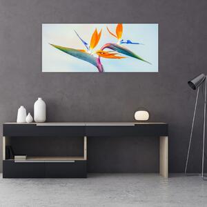 Tablou cu floarea Strelicie (120x50 cm)