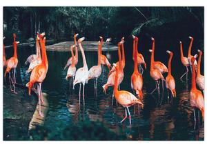 Tablou - turmă de flamingo (90x60 cm)