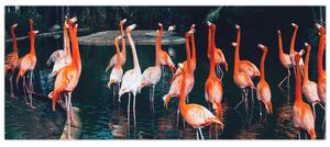 Tablou - turmă de flamingo (120x50 cm)