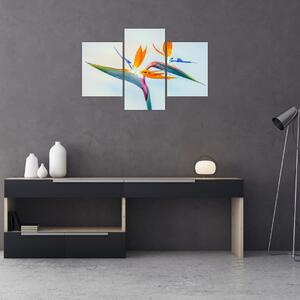 Tablou cu floarea Strelicie (90x60 cm)