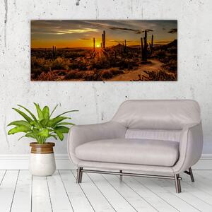 Tablou - Sfărșit de zi în deșertul Arizona (120x50 cm)