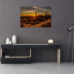 Tablou - Sfărșit de zi în deșertul Arizona (90x60 cm)