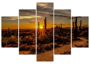 Tablou - Sfărșit de zi în deșertul Arizona (150x105 cm)