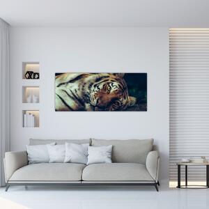 Tablou - Tigrul Siberian (120x50 cm)