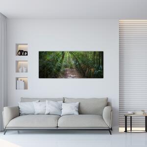 Tablou - Razele solare în junglă (120x50 cm)