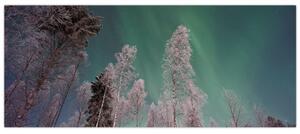 Tablou cu aurora borealis deasupra pomilor înghețați (120x50 cm)