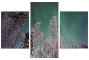 Tablou cu aurora borealis deasupra pomilor înghețați (90x60 cm)