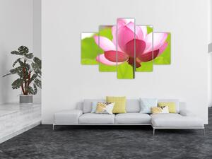Tablou cu flori de lotus (150x105 cm)