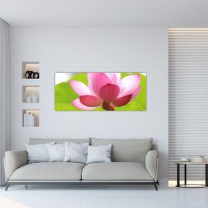 Tablou cu flori de lotus (120x50 cm)
