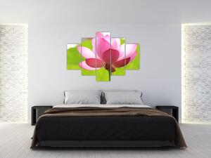 Tablou cu flori de lotus (150x105 cm)