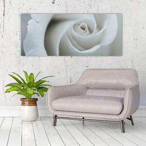 Tablou - Trandafirul alb (120x50 cm)