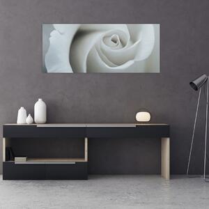 Tablou - Trandafirul alb (120x50 cm)