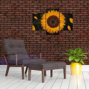 Tablou - Floarea soarelui și petale (90x60 cm)