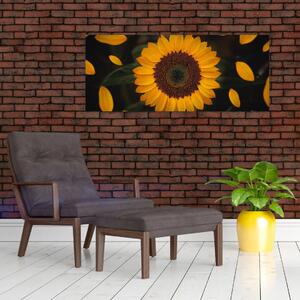 Tablou - Floarea soarelui și petale (120x50 cm)