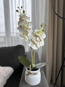 Orhidee Artificială Silicon Lofty Lux Alb