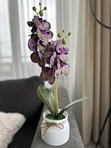 Orhidee Artificială Silicon Lofty Lux Violet