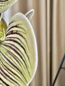 Orhidee Artificială Real Touch Lofty Lux