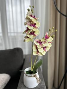 Orhidee Artificială Silicon Lofty Lux Crem/Roz
