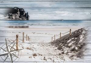 Fototapet - Intare pe plajă - imitație de lemn (152,5x104 cm)