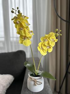 Orhidee Artificială Silicon Lofty Lux Galben