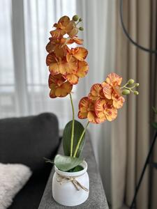 Orhidee Artificială Silicon Lofty Lux Portocaliu