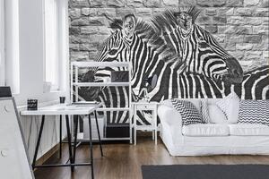 Fototapet - Zebre pe peretele din cărămizi (254x184 cm)