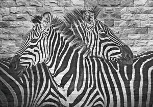 Fototapet - Zebre pe peretele din cărămizi (152,5x104 cm)