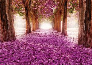 Fototapet - Alee cu flori violeți (254x184 cm)