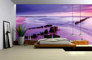 Fototapet - Malul mării - violet (254x184 cm)