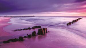 Fototapet - Malul mării - violet (152,5x104 cm)