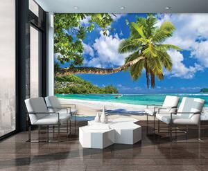 Fototapet - palmieri, plaja și ocean (254x184 cm)