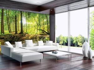 Fototapet - Pădurea însorită (152,5x104 cm)