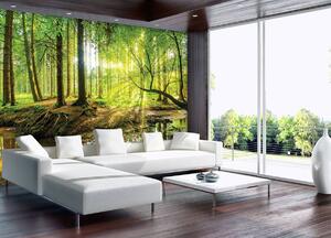 Fototapet - Pădurea însorită (254x184 cm)
