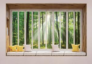 Fototapet - Privire din geam spre pădure (254x184 cm)