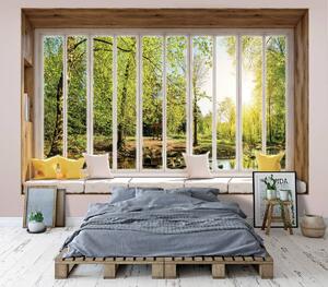 Fototapet - Privire însorită în pădure din geam (254x184 cm)