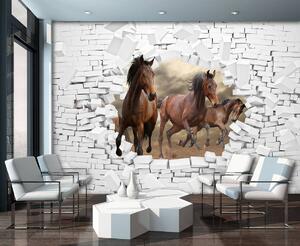 Fototapet - 3D cai în perete (152,5x104 cm)