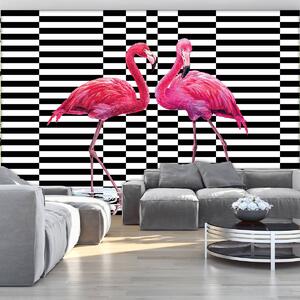 Fototapet - Flamingo 3D (254x184 cm)