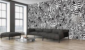 Fototapet - Zebra (254x184 cm)