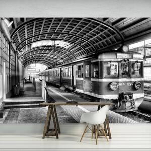Fototapet - Trenul în gară (254x184 cm)