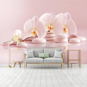 Fototapet - Relaxare în roz (254x184 cm)