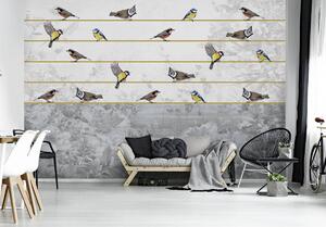 Fototapet - Păsări pe ață aurie (254x184 cm)