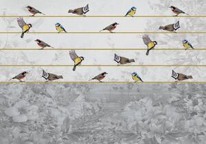 Fototapet - Păsări pe ață aurie (152,5x104 cm)